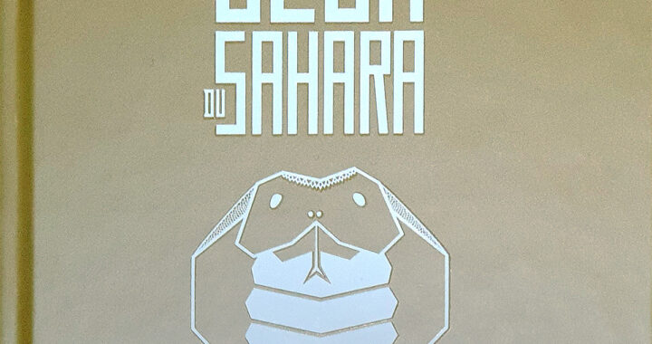 Les jeux du sahara